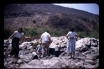 078 - Doug, Susan, Cheryl, John, etc - Menefees Picnic (-1x-1, -1 bytes)